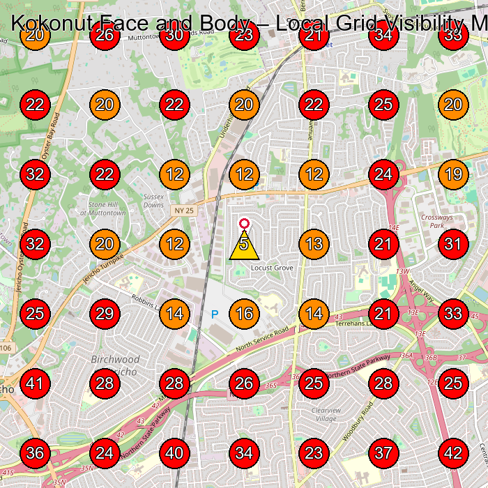 Kokonut Face and Body GeoGrid visibility map for Massage Spa in Huntington